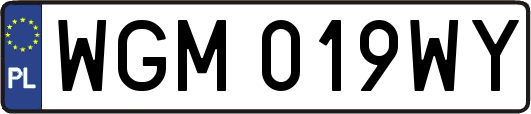 WGM019WY