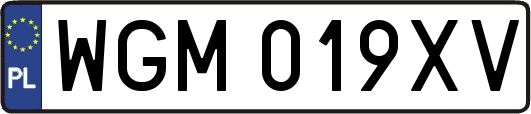 WGM019XV