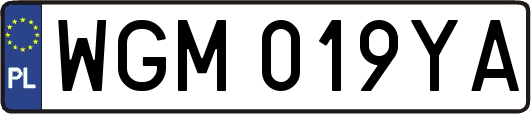 WGM019YA