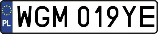 WGM019YE