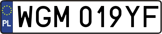 WGM019YF