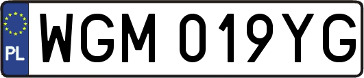 WGM019YG