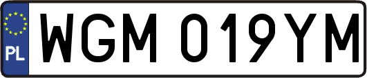 WGM019YM