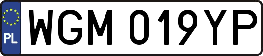 WGM019YP