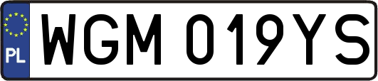 WGM019YS