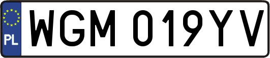 WGM019YV