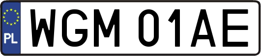 WGM01AE