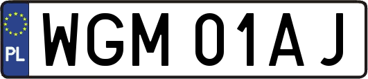 WGM01AJ