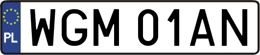 WGM01AN