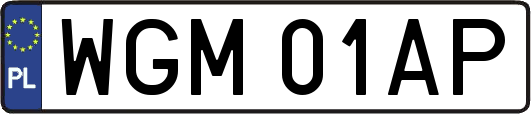 WGM01AP
