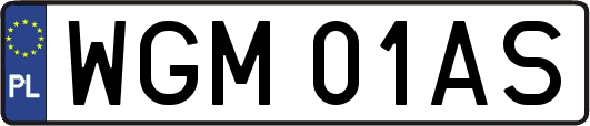 WGM01AS