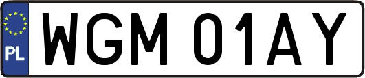 WGM01AY