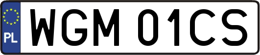 WGM01CS