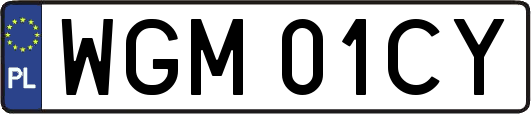 WGM01CY