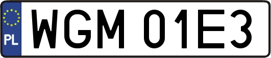 WGM01E3