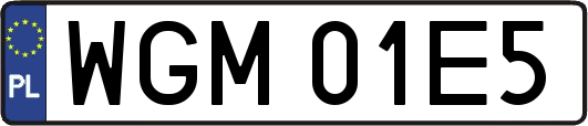 WGM01E5