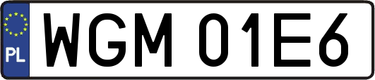 WGM01E6