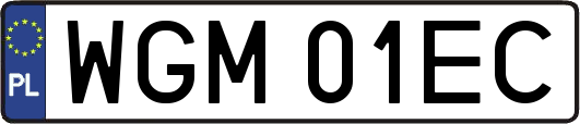WGM01EC