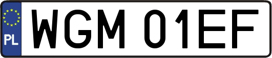 WGM01EF
