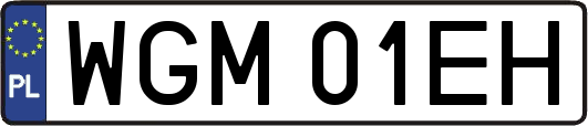 WGM01EH
