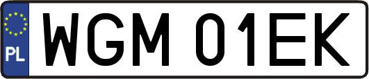 WGM01EK