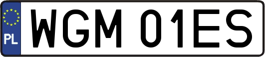 WGM01ES