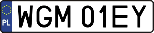 WGM01EY