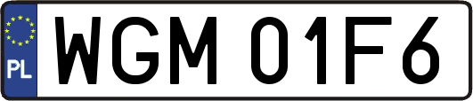 WGM01F6