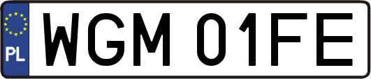 WGM01FE