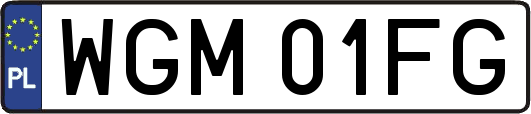 WGM01FG