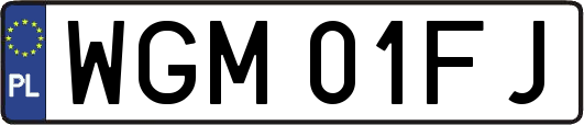 WGM01FJ
