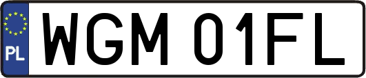 WGM01FL