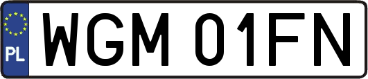 WGM01FN