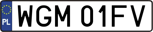 WGM01FV