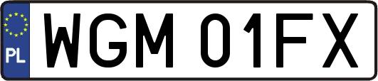 WGM01FX