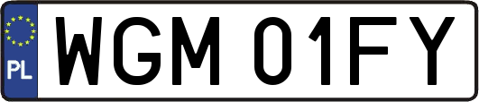 WGM01FY