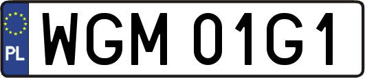 WGM01G1