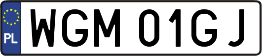 WGM01GJ