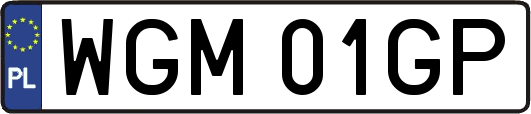 WGM01GP