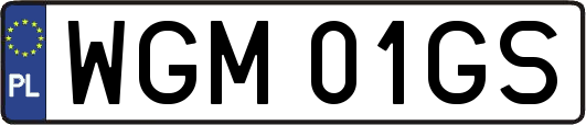 WGM01GS