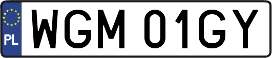 WGM01GY