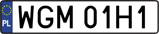 WGM01H1