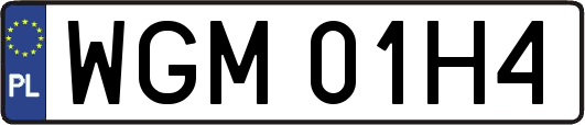 WGM01H4