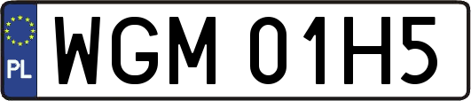 WGM01H5