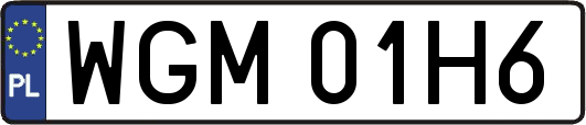 WGM01H6