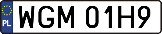 WGM01H9