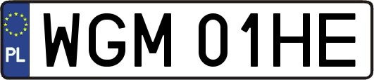 WGM01HE