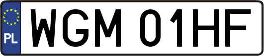 WGM01HF