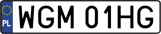 WGM01HG