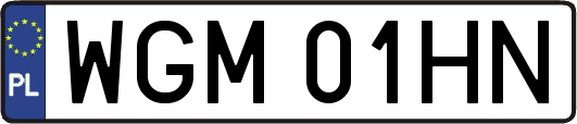 WGM01HN
